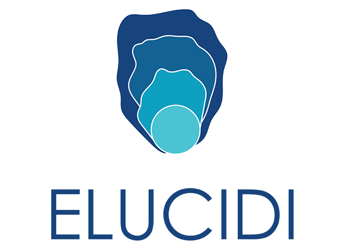 elucidi_680x490.png